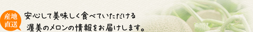 安心して美味しく食べていただける渥美のメロンの情報をお届けします。