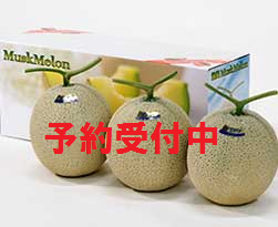 マスクメロン3玉入り(1.4kg)