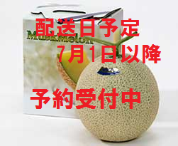【6月上旬予約開始】<p>マスクメロン1玉入り(1.7kg)