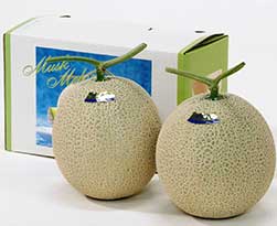 マスクメロン2玉入り(1.4kg)<p>※ご注文から約1週間~10日での<p>お届けとなります。