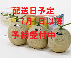 【6月上旬予約開始】<p>マスクメロン3玉入り(1.4kg)