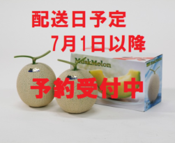 【6月上旬予約開始】<p>マスクメロン2玉入り(1.4kg)